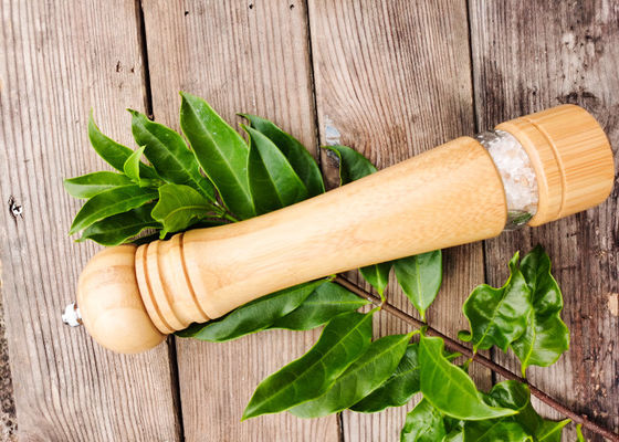 kopen Rubberen hout en keramische molen met kruiden Beste zoutpeper molen online manufacture