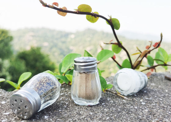 kopen 10 ml glazen zout-peper shaker met kruiden, ideaal voor camping avonturen online manufacture