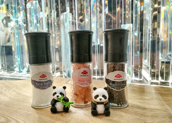 kopen Makkelijk te gebruiken Zout en Peper Plastic grinders Plastic cap Zoutmolen online manufacture