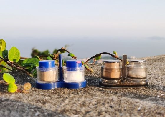 購入 飛行機向け 塩と黒胡桃の調味料のための使い捨てプラスチックシェイカ 1.0g容量 online manufacture