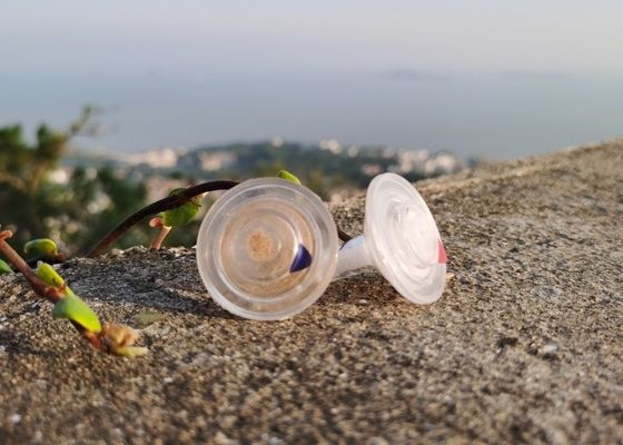 購入 透明なプラスチック製の調味料のシャイカーは 1gの塩 0.2gのブラックペッパー:キャンプに最適 online manufacture