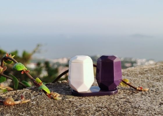 kupować Przenośny jednorazowy plastikowy mikser do przypraw zestaw do soli i czarnego pieprzu online manufacture