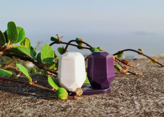 購入 旅行キャンプ用 六角形 卵殻型 使い捨て プラスチック製 調味料 シェイカー セット online manufacture