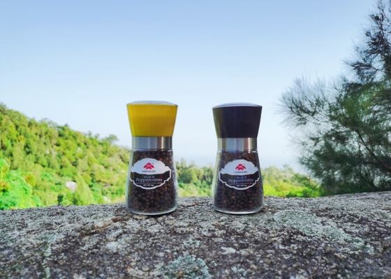 kopen 170 ml kruidenfreesmachine met plastic hoofd van roestvrij staal herbruikbaar gemakkelijk te vullen online manufacture