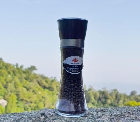acheter Moulin à assaisonnements 180 ml verre et 350 ml plastique avec broyage en céramique online manufacture