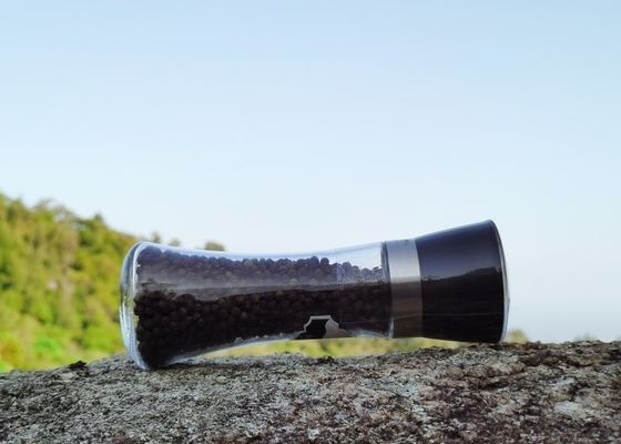 acheter Grinders à assaisonnement avec tête en plastique et noyau en céramique online manufacture