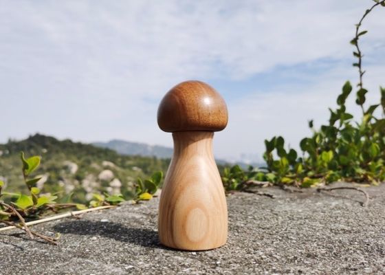acheter Moulin à sel et poivre réglable en forme de champignon avec noyau en céramique et pot en bois online manufacture